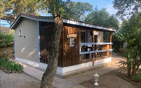 Chalet à Gassin au calme sous les pins